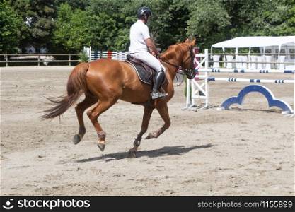 Man riding a chestnut horse at gallop