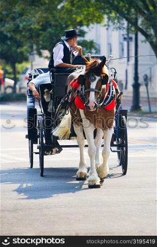 Man riding a horse cart, Savannah, Georgia, USA