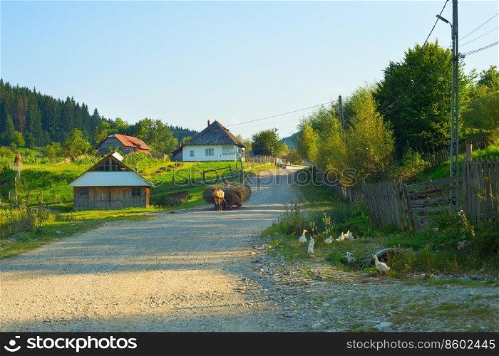 Man riding in horse cart with hay through the typical Romanian village, Romania