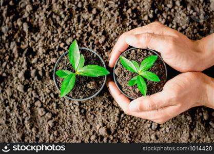 Man&rsquo;s hands are planting potted seedlings. Placing the soil to the ground to be planted, ecology concept.