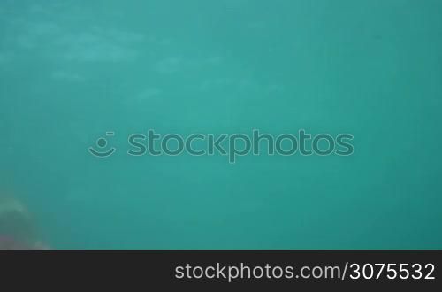 Man showing thumbs up underwater, swimming in the sea