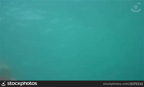 Man showing thumbs up underwater, swimming in the sea