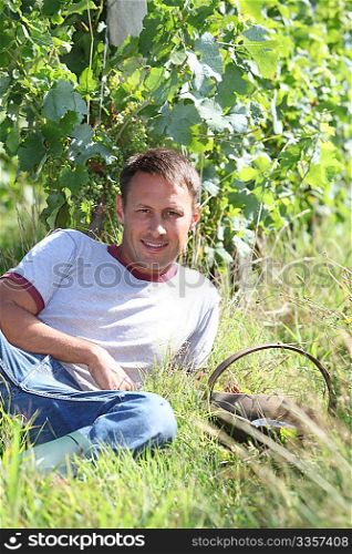 Man sitting in vine rows