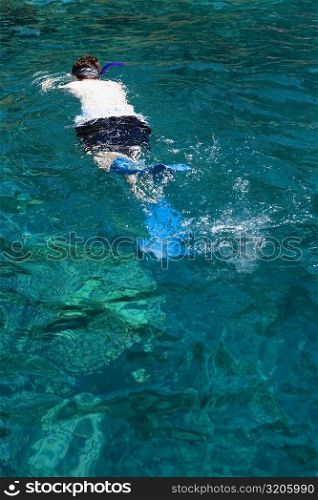 Man snorkeling in the sea, Captain Cook&acute;s Monument, Kealakekua Bay, Kona Coast, Big Island, Hawaii Islands, USA