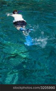 Man snorkeling in the sea, Captain Cook&acute;s Monument, Kealakekua Bay, Kona Coast, Big Island, Hawaii Islands, USA