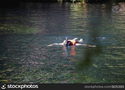 Man snorkeling in the sea on exotic destination surrounded by fish nature. Man snorkeling in the sea on exotic destination surrounded by fish