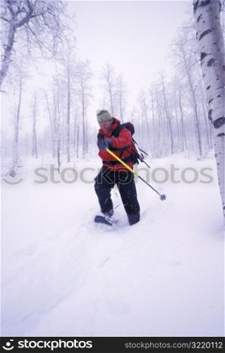 Man Snowshoeing in the Forest