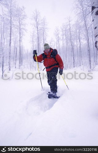 Man Snowshoeing in the Forest