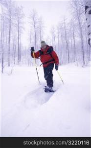Man Snowshoeing in the Forest