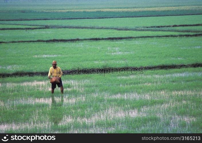 Man Sowing Field