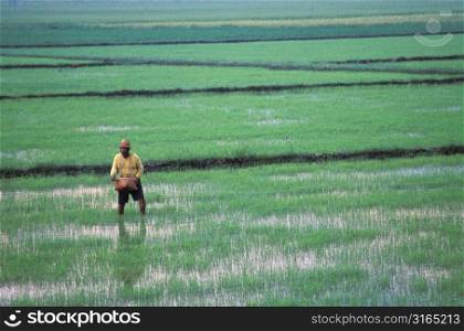 Man Sowing Field