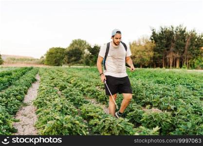 Man spraying vegetables in the crop