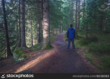 Man standing at the forest path