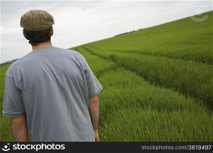 Man standing in field, back view