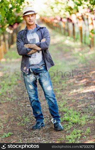 Man standing in vineyard. Man wearing hat standing in vineyard