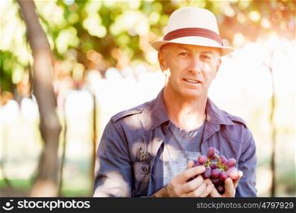 Man standing in vineyard. Man wearing hat standing in vineyard