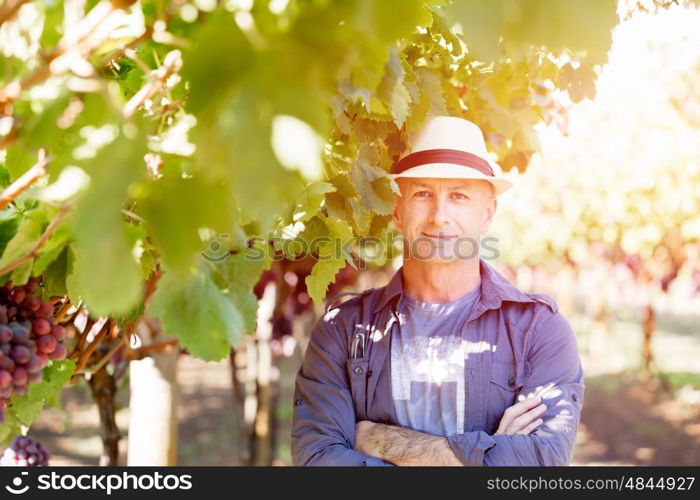 Man standing in vineyard. Man wearing hat standing in vineyard