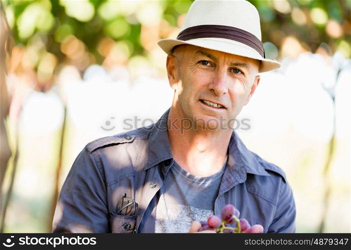 Man standing in vineyard. Man wearing hat standing in vineyard
