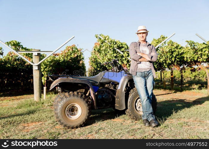 Man standing next to truck in vineyard. Man wearing hat standing next to truck in vineyard