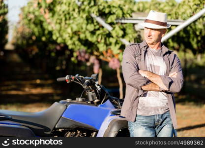 Man standing next to truck in vineyard. Man wearing hat standing next to truck in vineyard