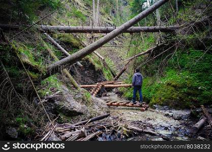 Man standing on the path through fallen trees