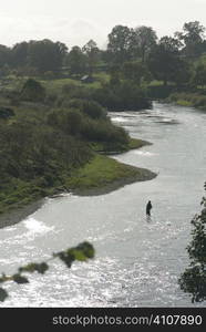 Man stands fishing in river of Berwickshire, Scotland