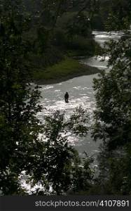 Man stands fishing in river of Berwickshire, Scotland