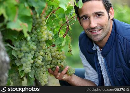 Man stood by grape vine