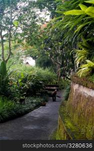 Man sweeping pathway in Bali