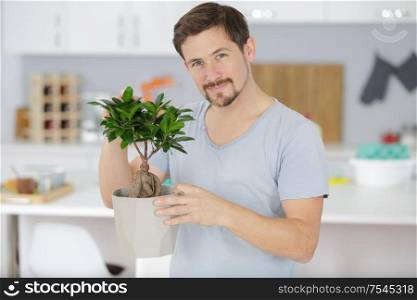 man taking care of bonsai plant