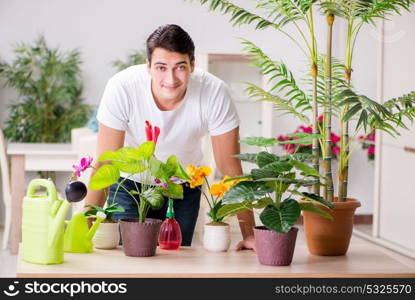 Man taking care of plants at home