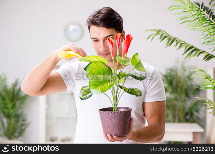 Man taking care of plants at home