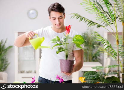 Man taking care of plants at home