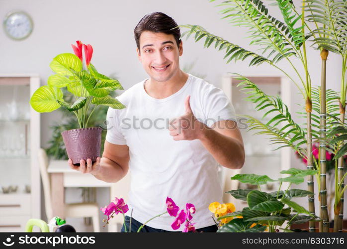 Man taking care of plants at home