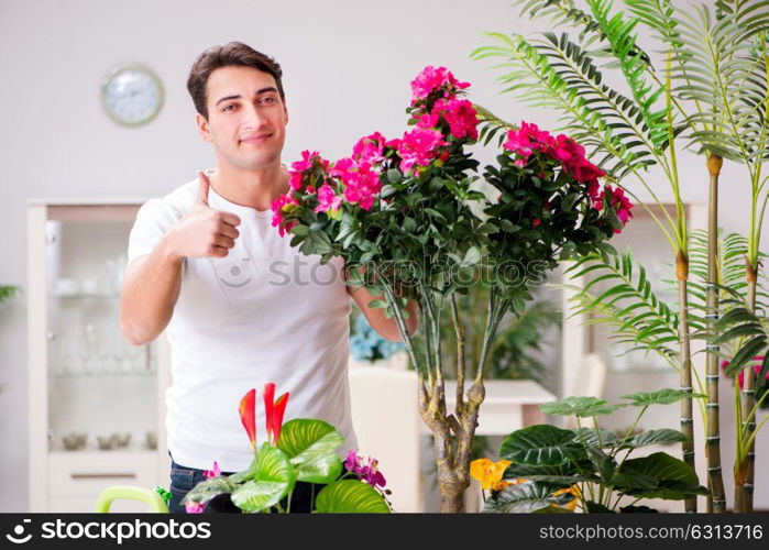 Man taking care of plants at home