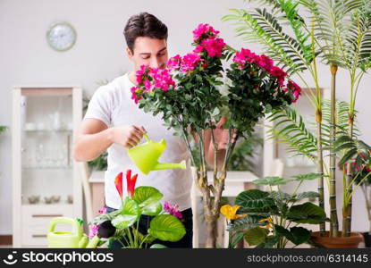 Man taking care of plants at home