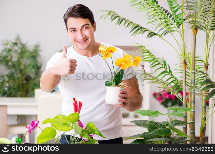 Man taking care of plants at home