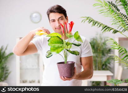 Man taking care of plants at home