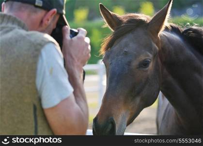 man taking photographs of the horse farm animal