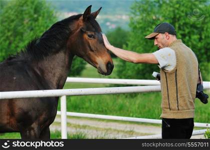 man taking photographs of the horse farm animal