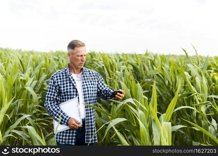 man taking selfie cornfield