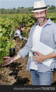 man touches a bunch of grapes in the vineyard