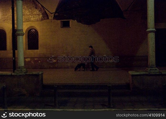 Man walking dog, Bologna, Italy at night