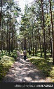 Man walking in a bright pine tree forest in a nature reserve at the island Oland in Sweden