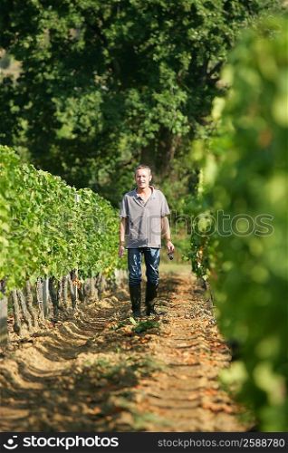 man walking in the vineyards