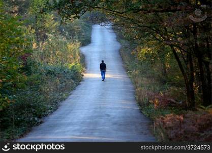 man walking on the road between the trees in autumn