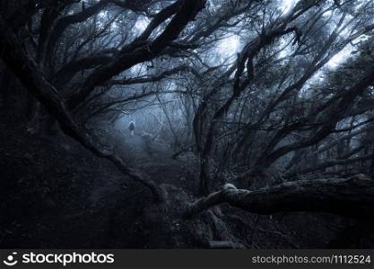 man walking through a fairytale dark foggy forest