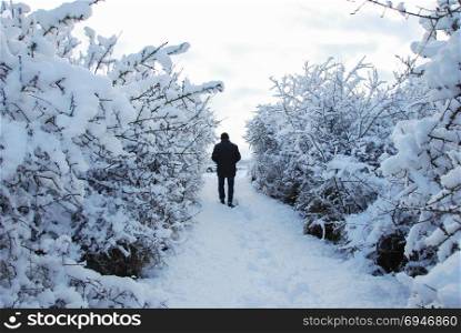 Man walks on a narrow footpath in a snow covered landscape