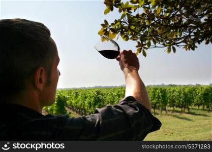 man watching the colour of a red wine of a red wine