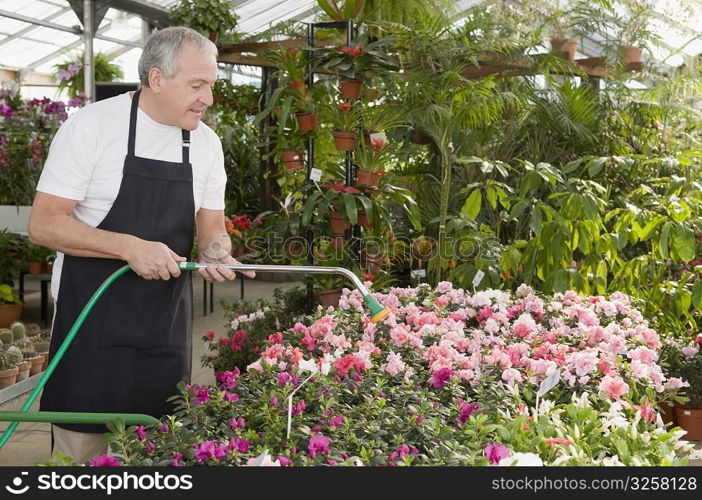 Man watering plants in a garden center